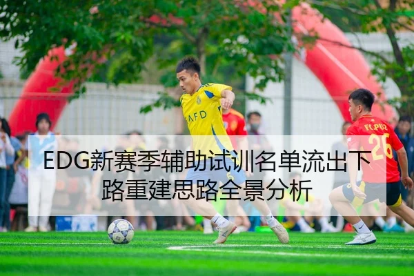 EDG新赛季辅助试训名单流出下路重建思路全景分析